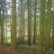 Cosy cottage in the Blackdown Hills Devon - 霍尼顿