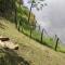 BN Private Beach & Resort - Jinja - 金贾