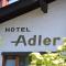 Hotel Gasthof Adler - Oberstdorf