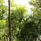 Apartment Viganj 10140b