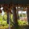 Hotel Nature