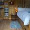 Stargazy Shepherds Hut - 圣艾夫斯