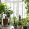 The Greenhouse