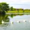Azul Talavera Country Club