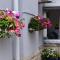 Swanage Haven Boutique Guest House