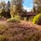 Landhaus mitten in der Lüneburger Heide - Undeloh