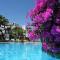 Delta Sharm Holiday