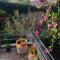 Apartman Marin
