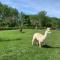 Alpaca Village - Angolo di Paradiso - Colli del Tronto