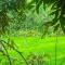 Budas Homestay Lemukih
