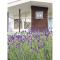 ＦＵＲＡＮＯ ＮＡＴＵＬＵＸ ＨＯＴＥＬ - Vacation STAY 68188v - Furano