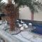 Asahalah Farm Pool Villas