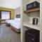 Holiday Inn Express Hotel & Suites Alcoa Knoxville Airport, an IHG Hotel - Alcoa