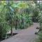 Forest Lodge - St Lucia