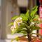 River View Villa Self Catering