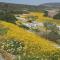 Bokkomblommetjie