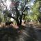 Doornfontein Guest Farm
