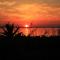 Alkionis Beach Hotel Apartments