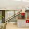 Harmony Level Floor - Santidad
