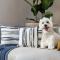 Home Suite Hotels Sea Point