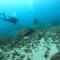 Pousada Aquamaster Dive Center - Angra dos Reis