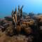 Pousada Aquamaster Dive Center - Angra dos Reis