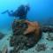 Pousada Aquamaster Dive Center - Angra dos Reis