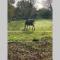 Windsor/Ascot/Bracknell beautiful barn