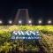 Swan Generation Porto Alegre - Порту-Алегри