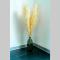 La Villetta G Blotzheim - Appartement de Standing