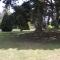 Fieldways