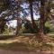 Fieldways