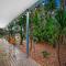 Fig Tree Luxury Guest House