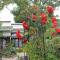 Beachwood Villas