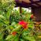 Hotel Las Mercedes Airport-Quito