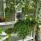 Holiday Home Kolka