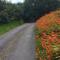 Goleen Cozy Cottage