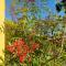 Apartamento Flor de Canela