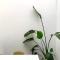 Easy Nerja House