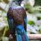 Mike & Jennys Kaka Point Accommodation