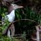 Mike & Jennys Kaka Point Accommodation