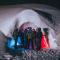Village Igloo Les Arcs