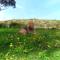 Ashanti House - Living The Breede