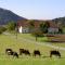 Urlaub am Bauernhof Wenigeder - Familie Klopf - Gutau