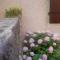 Bed & Breakfast Antico