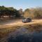 Boteti Tented Safari Lodge