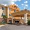 Comfort Suites - Alexandria