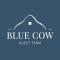 Blue Cow Barn - Boutique Farm