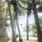 Jungle Beach Resort