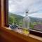 Log cabin 1 Merdovic